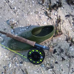 14583248_317386891991180_8092756170021797888_n(1)