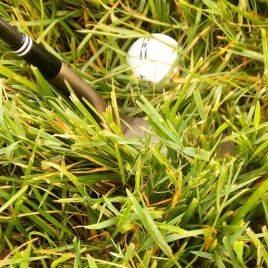 19429134_446704132356765_4001177149108125696_n