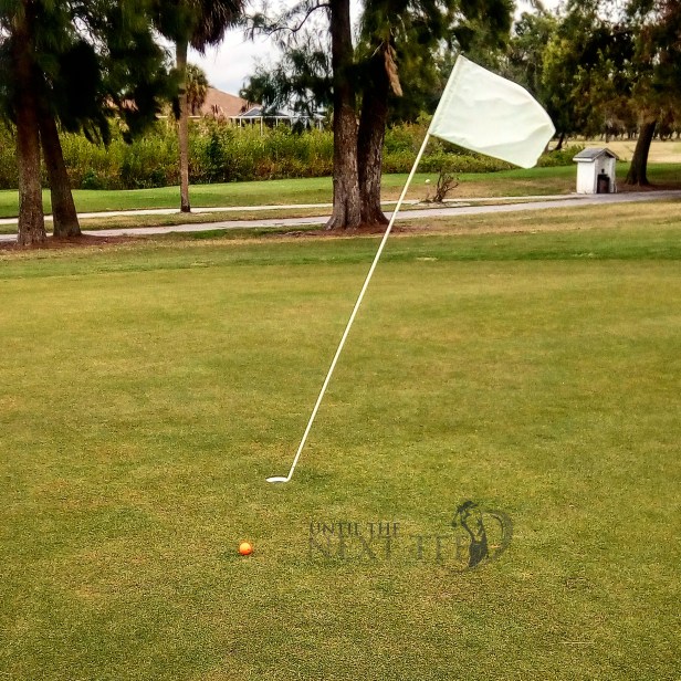 projects greenside.jpg