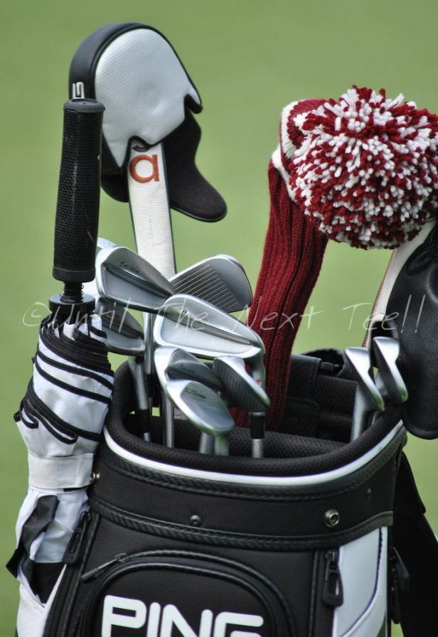 imageedit_30_9511459864