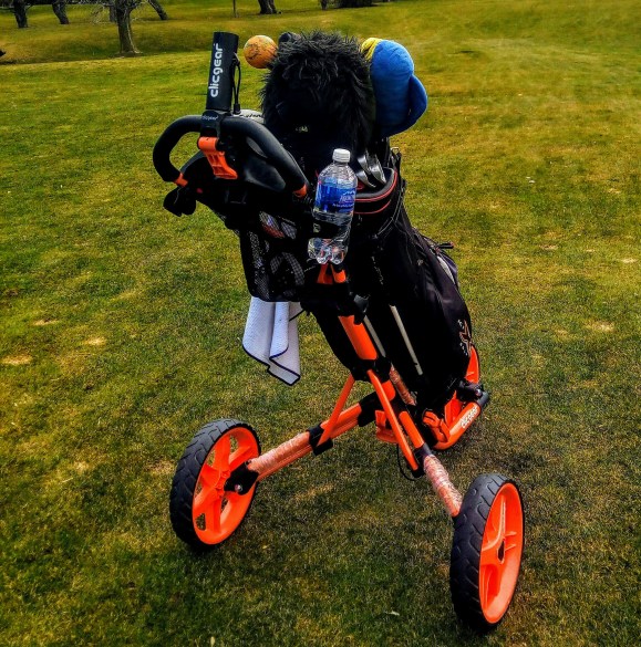 IMG_20180410_122536 (1).jpg