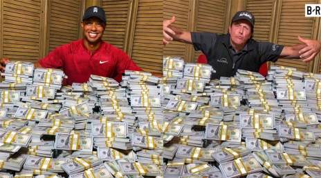 Tiger-Phil-money-stacks