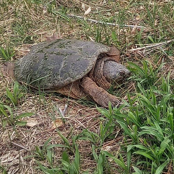 IMG_20180507_063750_722