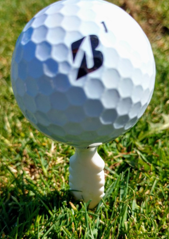 IMG_20190917_135722158_HDR