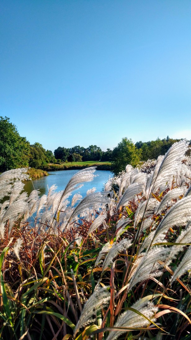 IMG_20190930_171305952_HDR