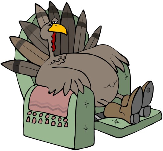 turkey-in-a-chair