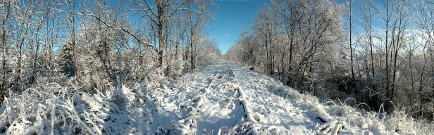 IMG_20191203_093119841