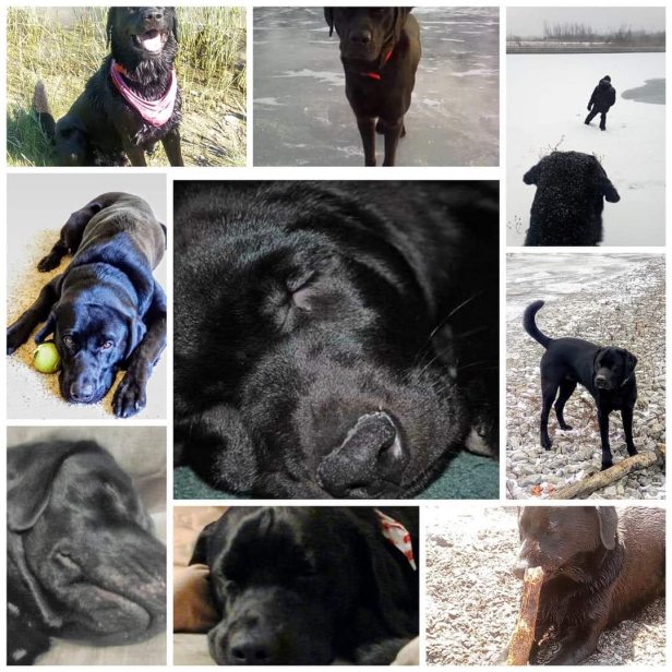 FB_IMG_1581351887599