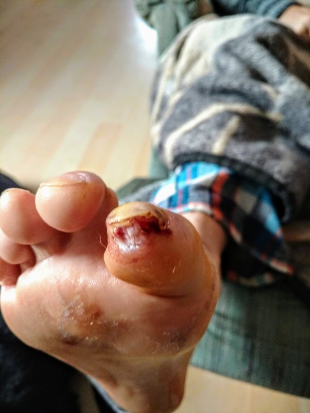 IMG_20200205_144300252