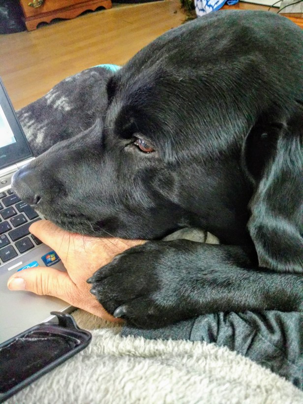 IMG_20200208_100046293