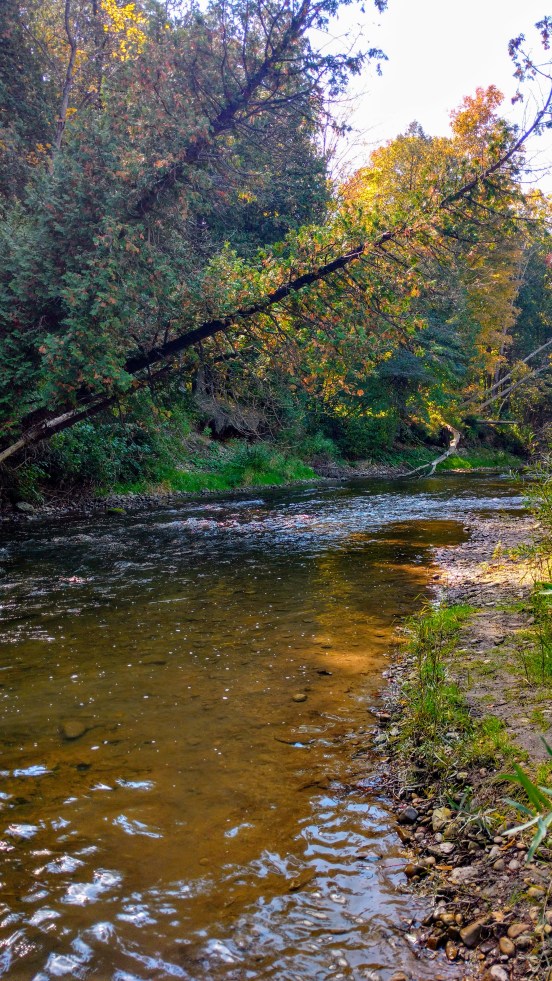 IMG_20190930_131716073_HDR (1)