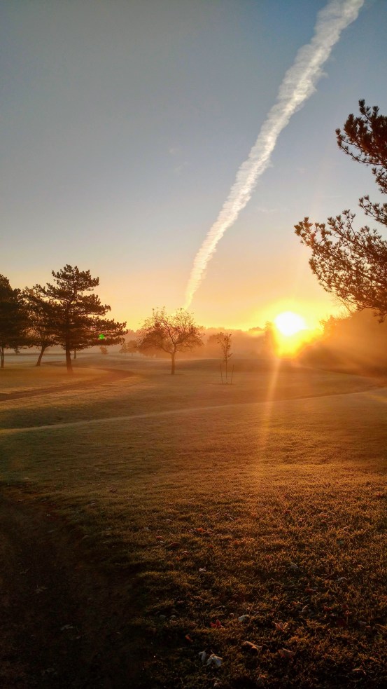 IMG_20191019_075644875_HDR (1)