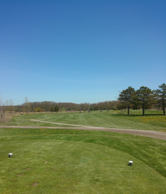 IMG_20200516_143334860 (1)