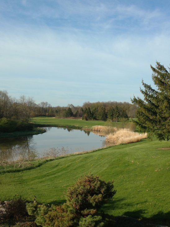 IMG_20200520_080502830