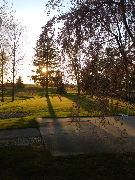 IMG_20200520_200606591