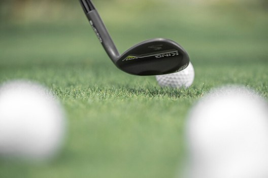 webimage-FED83420-5D72-4044-B059BEA31FE8ED25